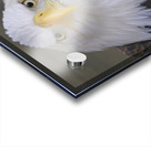 Bald eagle  Impression Acrylique