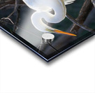 White egret Acrylic print