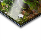  Arboretum Falls Acrylic print