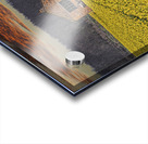 Flourishing fields of flowers Holland Acrylic print