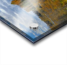 The Snake River near the Tetons Acrylic print