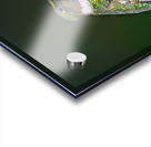 Ruby-throated hummingbird Impression Acrylique