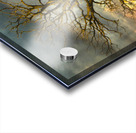 The eagle has landed Impression Acrylique