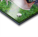 Alert call — bull elk Impression Acrylique