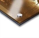 Sandhill crane migration Impression Acrylique