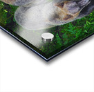 Alaskan Grizzly Bears Acrylic print