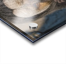 Speak no evil  Acrylic print