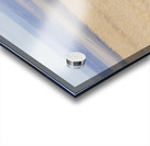 Bighorns in the Badlands Acrylic print