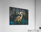 Heron in the morning Impression acrylique