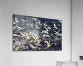 Liftoff  Acrylic Print