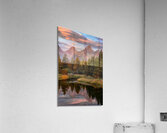 Moose in the Morning Impression acrylique