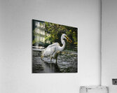 Just lunch  Impression acrylique