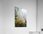 Tilting Timber Acrylic Print