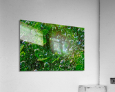 Water Drops Impression acrylique