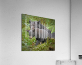 Mom and Cub Impression acrylique