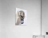 Trumpter swan Acrylic Print