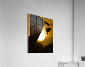 Tree Swallow Impression acrylique