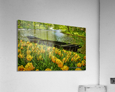 Kuekenhof Gardens Holland Acrylic Print