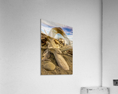 Drift wood in Washington Acrylic Print