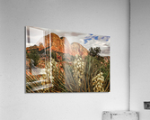 Flowers in Sedona Acrylic Print
