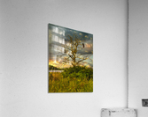 The eagle has landed Impression acrylique