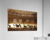 Sandhill crane migration Impression acrylique