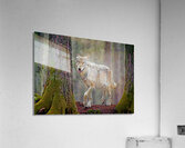 Call of the wild  Acrylic Print