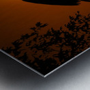 Egret Eclipse - 2017 Metal print