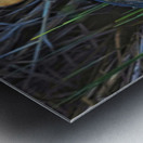 Heron in the morning Impression metal