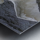 Battling Swans Metal print