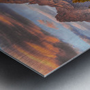 Moose in the Morning Impression metal