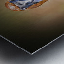 Foraging in the mud Impression metal