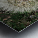 Dandelion Blow-ball Impression metal