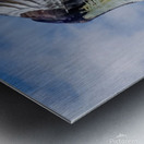 Osprey on the hunt Metal print