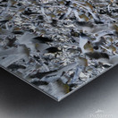 Lift Off  Metal print