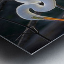 White egret Metal print