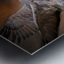 Sandhill in-flight motion Impression metal