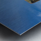 Osprey in flight Metal print