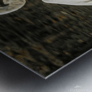 Egret fishing Metal print