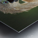 Juvenile Anhinga Impression metal