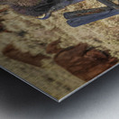 Bison leaping Impression metal