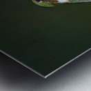 Ruby-throated hummingbird Impression metal