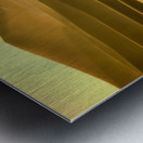Mesquite Sand Dunes Impression metal