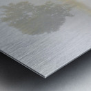 Crane over inland waters  Impression metal