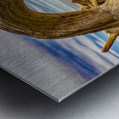 Drift wood in Washington Metal print