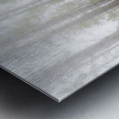 Morning mist near Lutsen Metal print