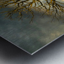 The eagle has landed Impression metal