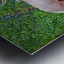 Alert call — bull elk Impression metal