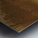 Sandhill crane migration Impression metal