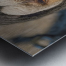 Speak no evil  Metal print